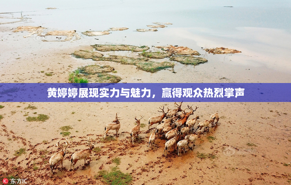 黄婷婷展现实力与魅力，赢得观众热烈掌声
