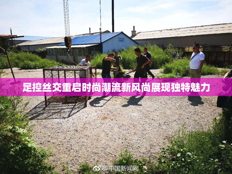 足控丝交重启时尚潮流新风尚展现独特魅力
