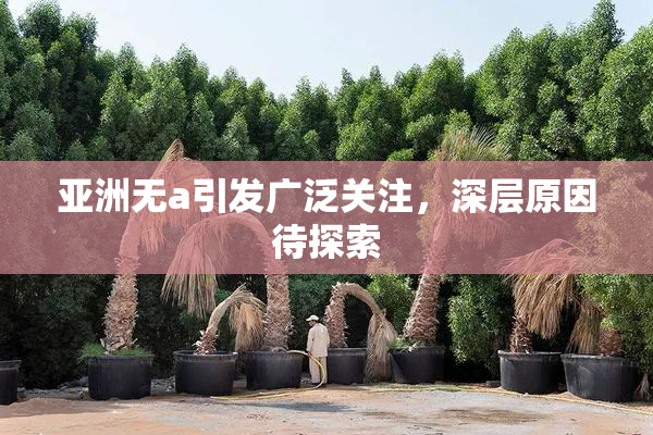 亚洲无a引发广泛关注，深层原因待探索