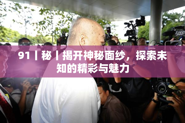 91丨秘丨揭开神秘面纱，探索未知的精彩与魅力
