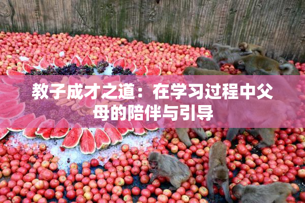 教子成才之道：在学习过程中父母的陪伴与引导