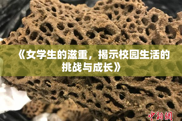 《女学生的滋重，揭示校园生活的挑战与成长》