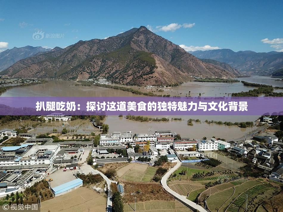 扒腿吃奶：探讨这道美食的独特魅力与文化背景