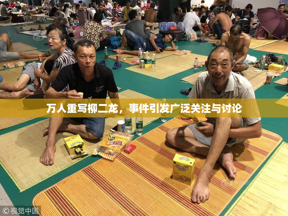 万人重写柳二龙，事件引发广泛关注与讨论