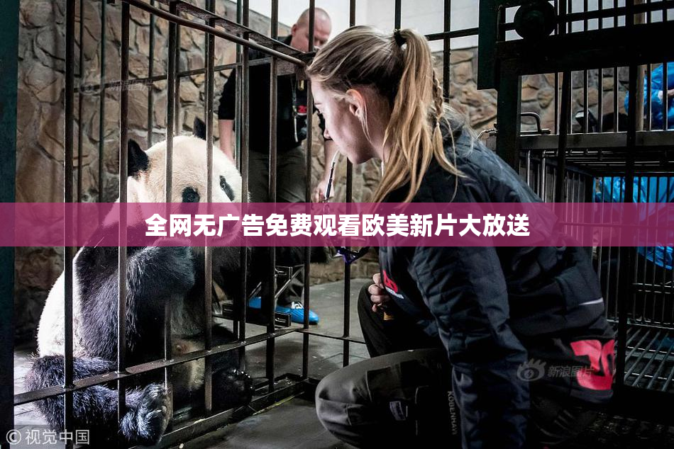 全网无广告免费观看欧美新片大放送