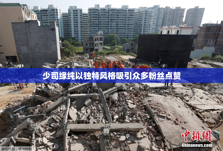 少司缘纯以独特风格吸引众多粉丝点赞