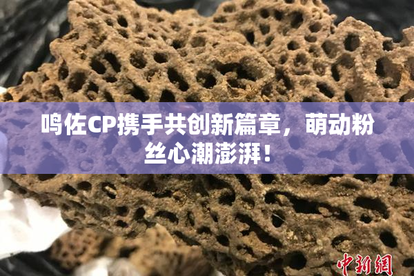 鸣佐CP携手共创新篇章，萌动粉丝心潮澎湃！