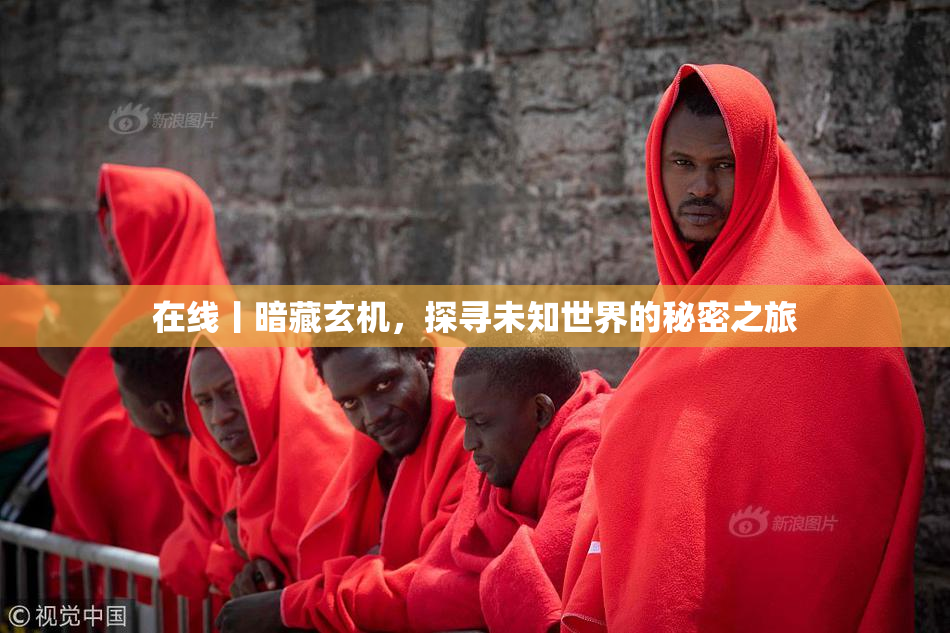 在线丨暗藏玄机，探寻未知世界的秘密之旅