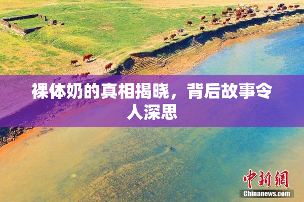 裸体奶的真相揭晓，背后故事令人深思