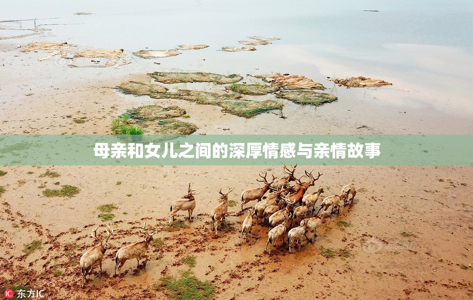 母亲和女儿之间的深厚情感与亲情故事