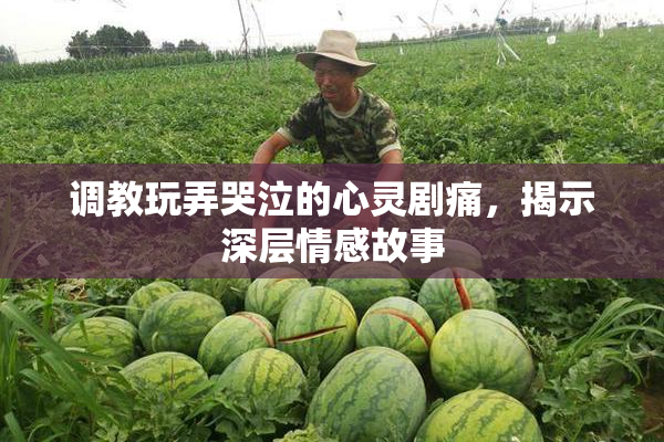 调教玩弄哭泣的心灵剧痛，揭示深层情感故事