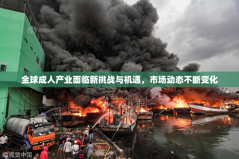 全球成人产业面临新挑战与机遇，市场动态不断变化