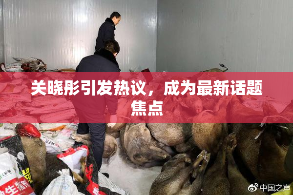 关晓彤引发热议，成为最新话题焦点