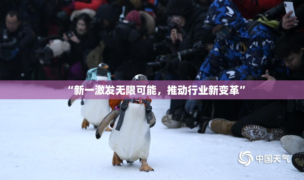“新一激发无限可能，推动行业新变革”