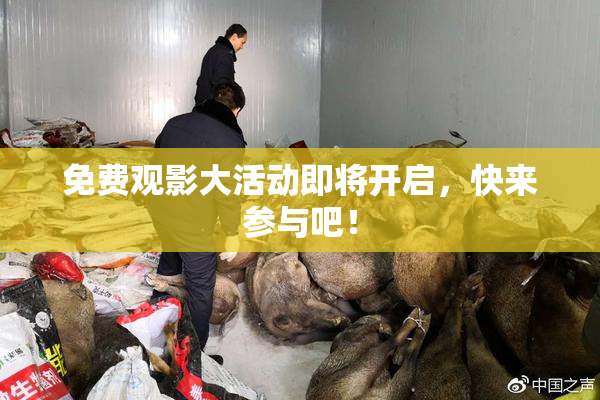 免费观影大活动即将开启，快来参与吧！