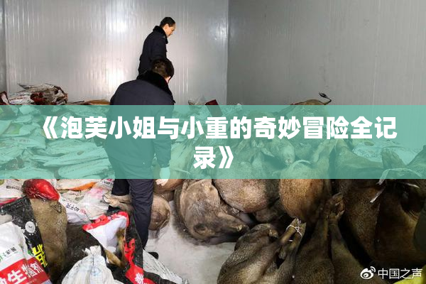 《泡芙小姐与小重的奇妙冒险全记录》
