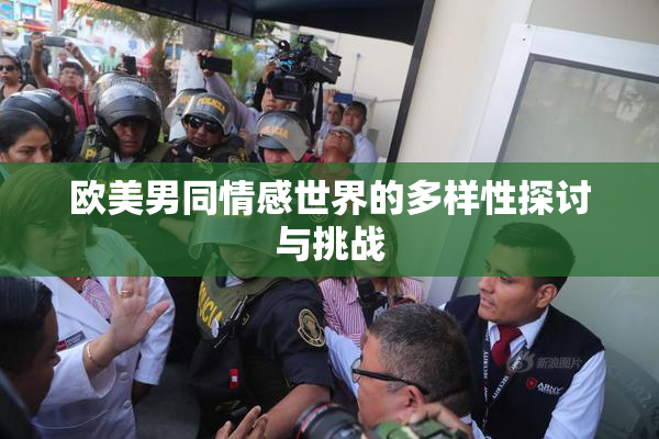 欧美男同情感世界的多样性探讨与挑战
