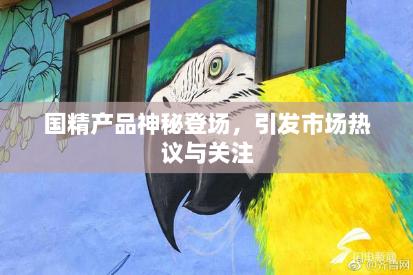 国精产品神秘登场，引发市场热议与关注