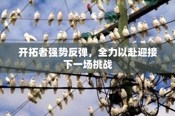 开拓者强势反弹，全力以赴迎接下一场挑战