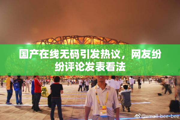 国产在线无码引发热议，网友纷纷评论发表看法
