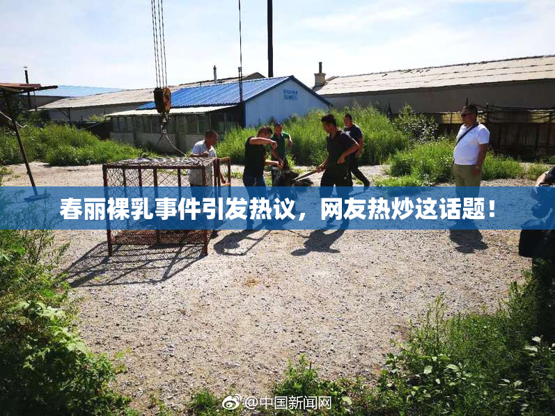 春丽裸乳事件引发热议，网友热炒这话题！