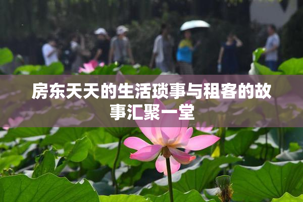 房东天天的生活琐事与租客的故事汇聚一堂
