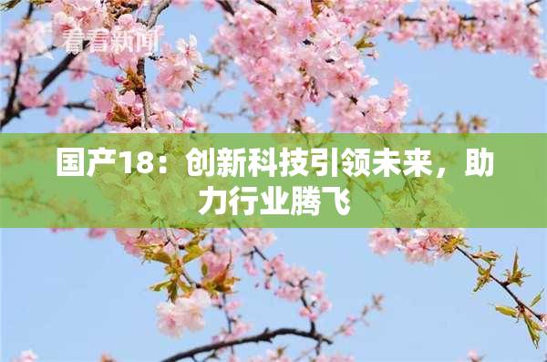 国产18：创新科技引领未来，助力行业腾飞