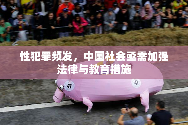 性犯罪频发，中国社会亟需加强法律与教育措施