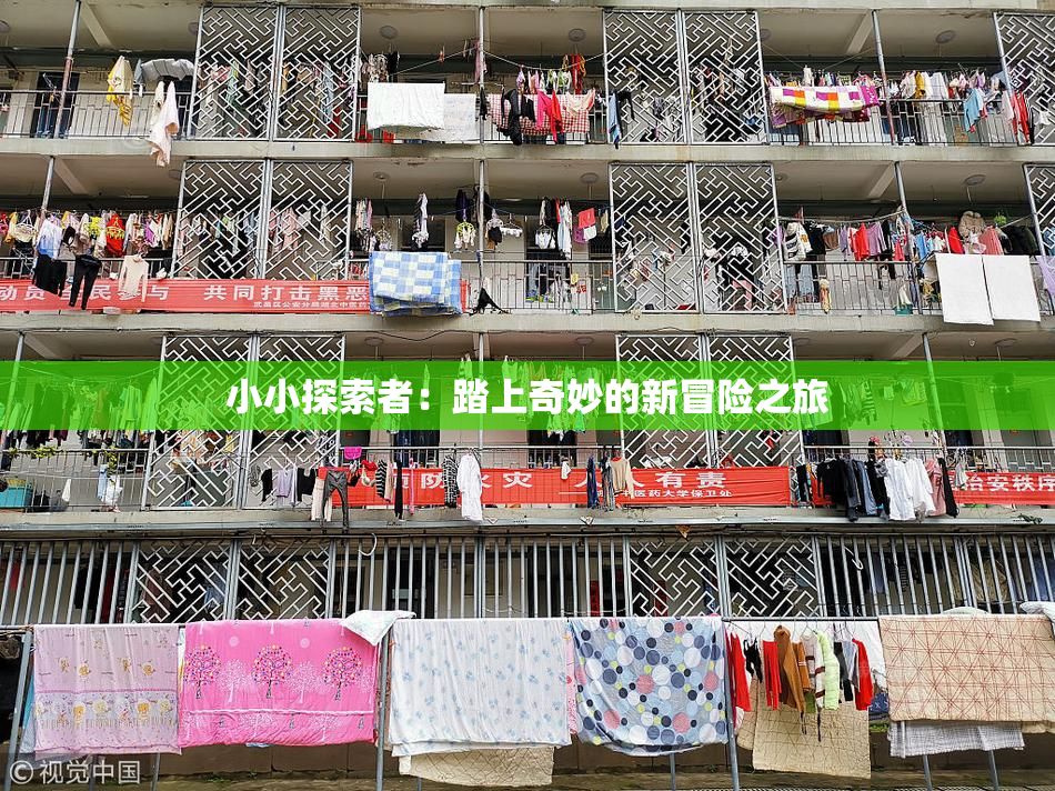 小小探索者：踏上奇妙的新冒险之旅