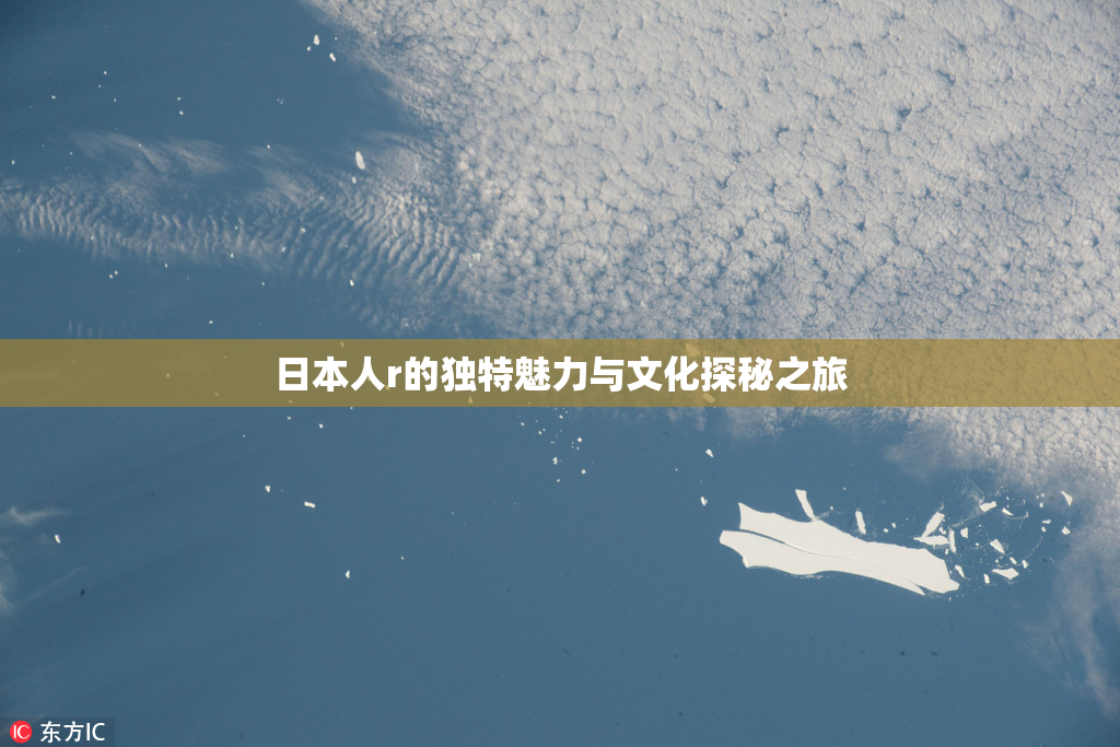 日本人r的独特魅力与文化探秘之旅