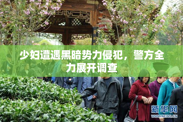 少妇遭遇黑暗势力侵犯，警方全力展开调查
