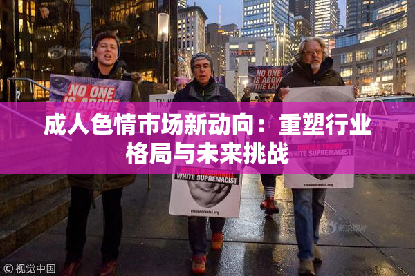 成人色情市场新动向：重塑行业格局与未来挑战