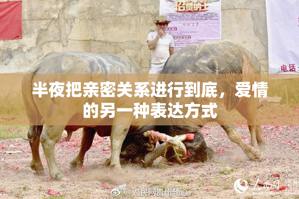 半夜把亲密关系进行到底，爱情的另一种表达方式