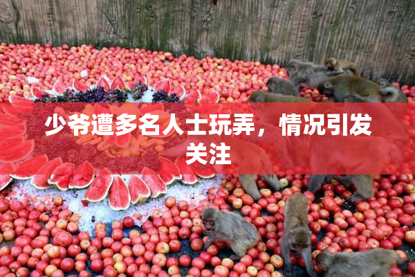 少爷遭多名人士玩弄，情况引发关注