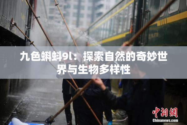 九色蝌蚪9l：探索自然的奇妙世界与生物多样性