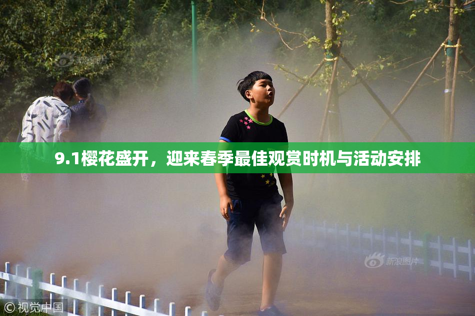 9.1樱花盛开，迎来春季最佳观赏时机与活动安排