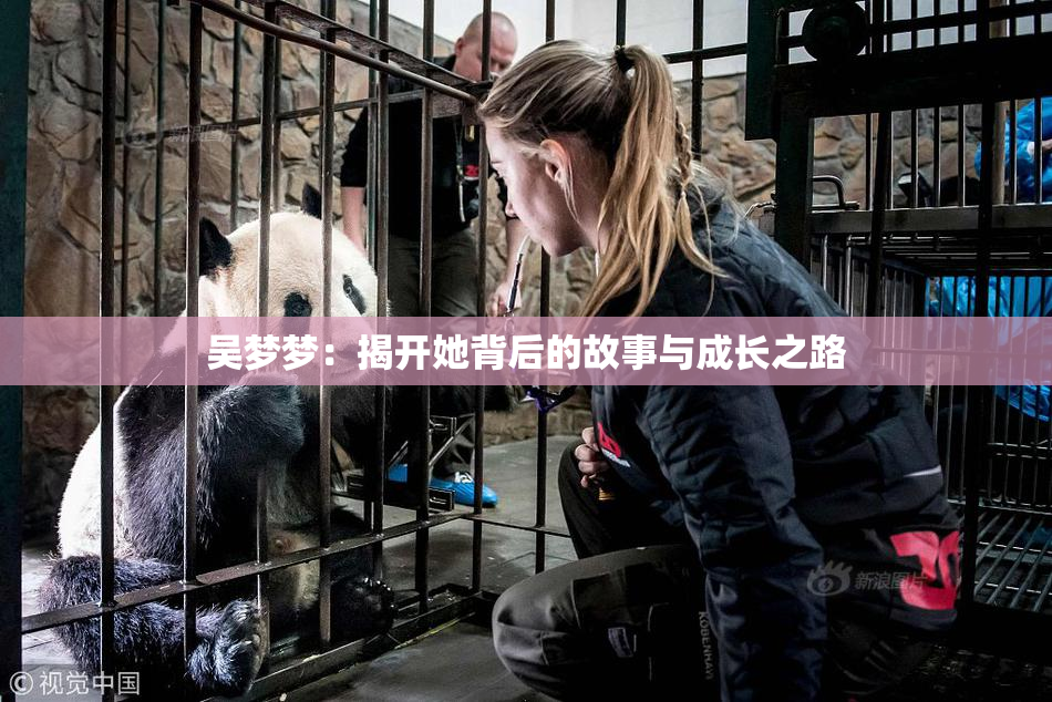 吴梦梦：揭开她背后的故事与成长之路