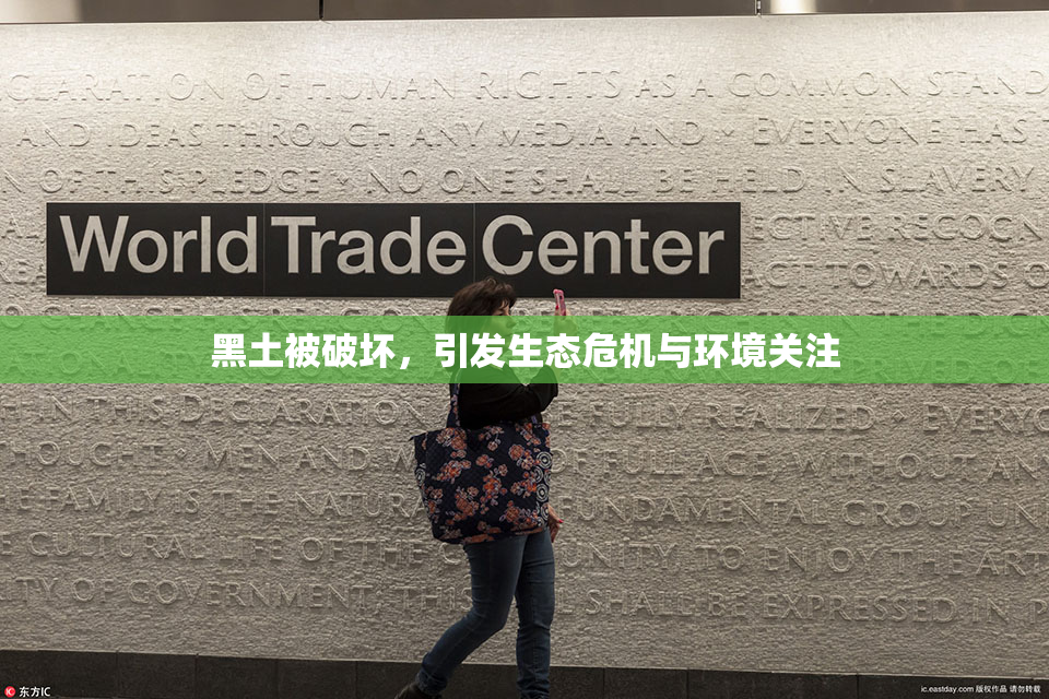 黑土被破坏，引发生态危机与环境关注