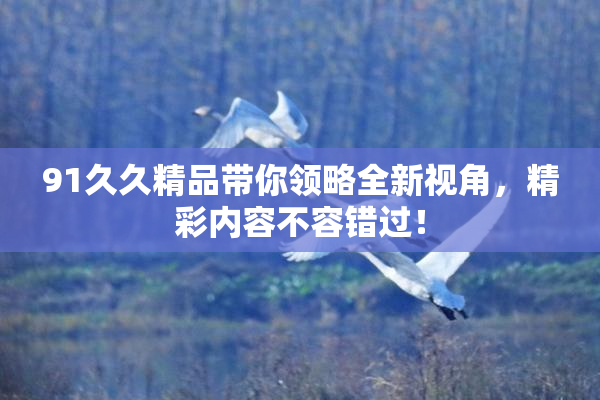 91久久精品带你领略全新视角，精彩内容不容错过！