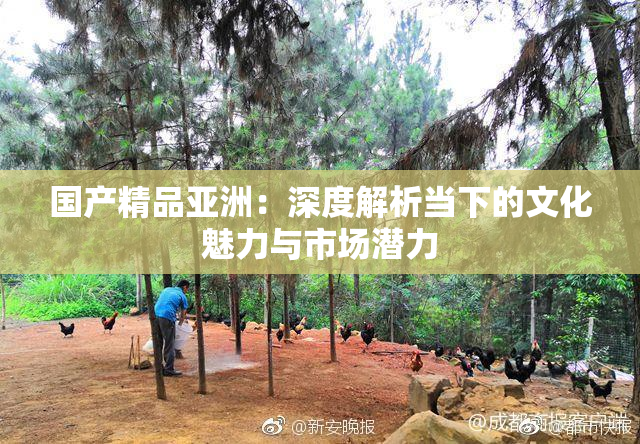 国产精品亚洲：深度解析当下的文化魅力与市场潜力