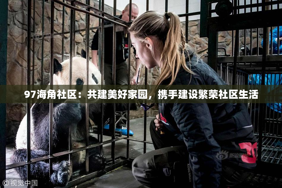 97海角社区：共建美好家园，携手建设繁荣社区生活