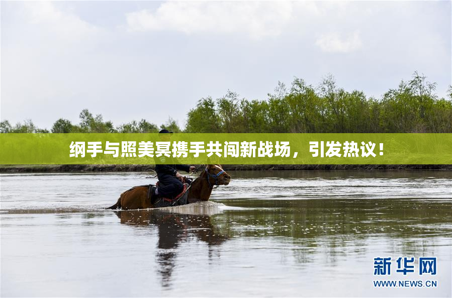 纲手与照美冥携手共闯新战场，引发热议！