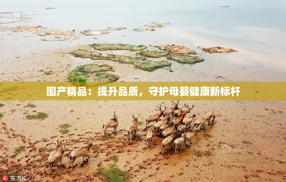 围产精品：提升品质，守护母婴健康新标杆