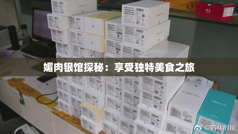 媚肉银馆探秘：享受独特美食之旅