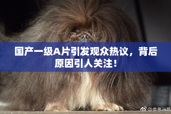 国产一级A片引发观众热议，背后原因引人关注！