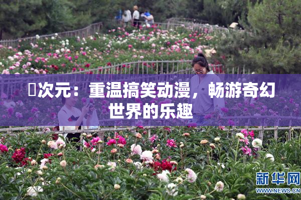 囧次元：重温搞笑动漫，畅游奇幻世界的乐趣
