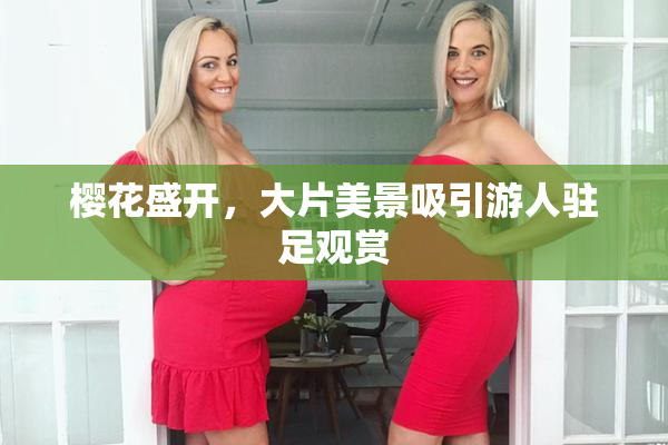 樱花盛开，大片美景吸引游人驻足观赏