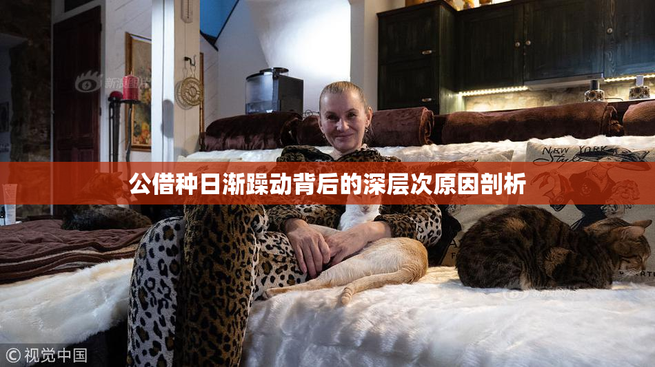 公借种日渐躁动背后的深层次原因剖析