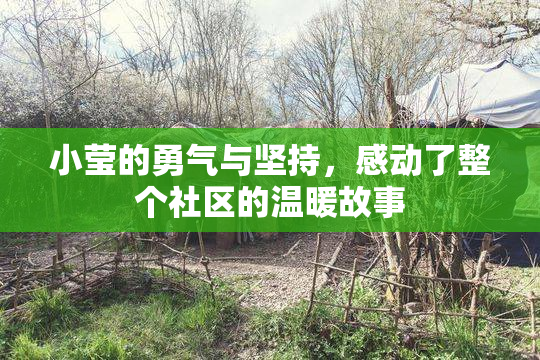 小莹的勇气与坚持，感动了整个社区的温暖故事