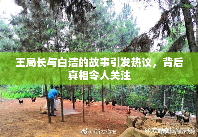 王局长与白洁的故事引发热议，背后真相令人关注